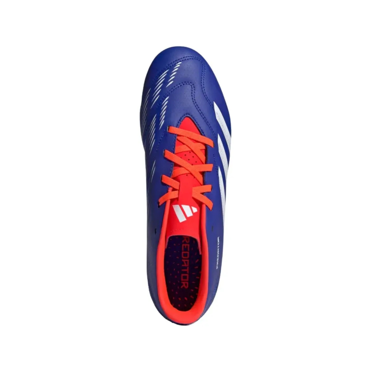 Chuteira Adidas Predator 24 Club Campo - Azul/Branco - foto 3